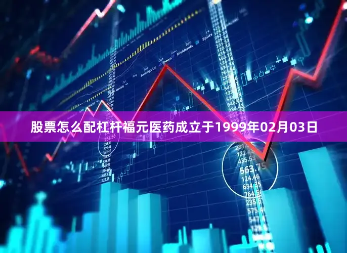 股票怎么配杠杆福元医药成立于1999年02月03日